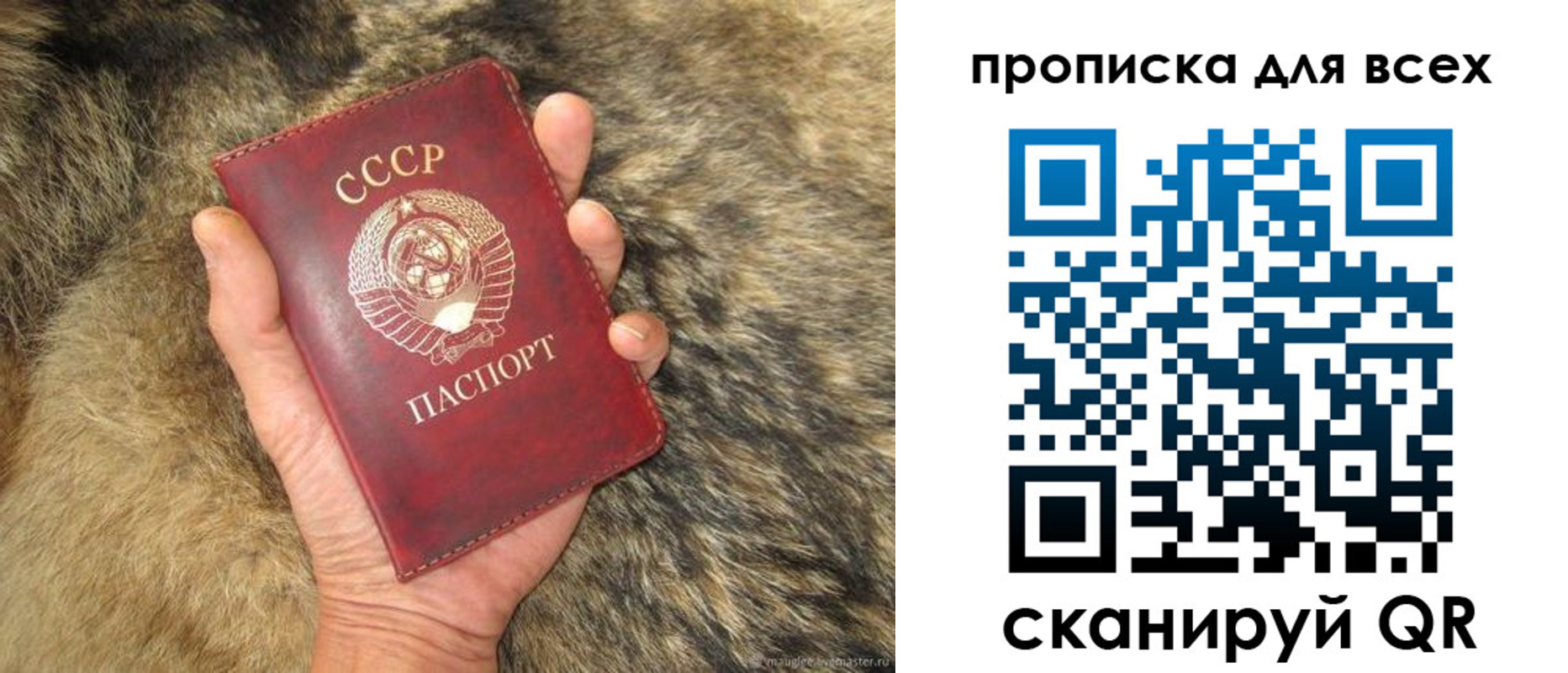 прописка в квартире в Карпинске